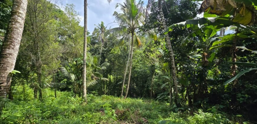 Tanah los sungai luasan kecil zona kuning pemukiman penduduk