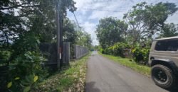 Tanah los sungai luasan kecil zona kuning pemukiman penduduk