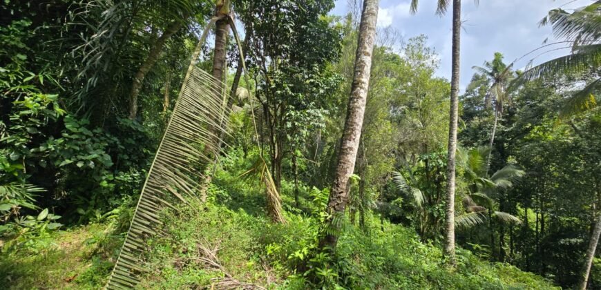 Tanah los sungai luasan kecil zona kuning pemukiman penduduk