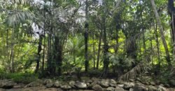 Tanah los sungai luasan kecil zona kuning pemukiman penduduk