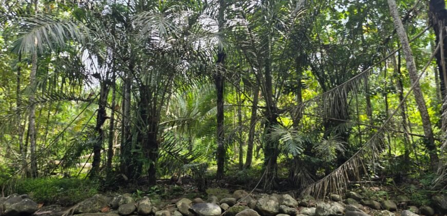 Tanah los sungai luasan kecil zona kuning pemukiman penduduk