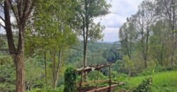 Tanah los sungai view sawah, gunung, laut dan lembah air terjun