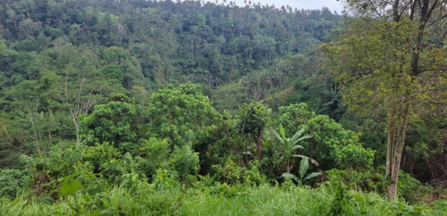 Tanah los sungai view sawah, gunung, laut dan lembah air terjun