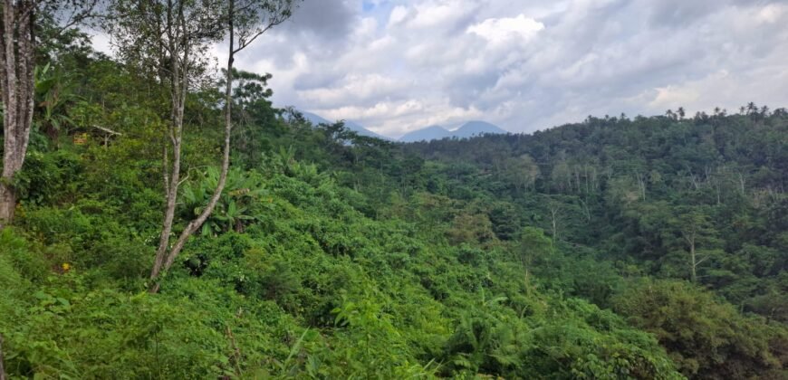 Tanah los sungai view sawah, gunung, laut dan lembah air terjun