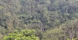 Tanah los sungai view sawah, gunung, laut dan lembah air terjun