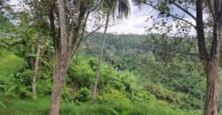 Tanah los sungai view sawah, gunung, laut dan lembah air terjun