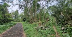 Tanah ketinggian 800 MDPL los sungai jernih dan view sawah