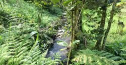 Tanah ketinggian 800 MDPL los sungai jernih dan view sawah