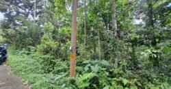 Tanah kebun di kaki gunung watukau tabanan luasan kecil suasana sejuk