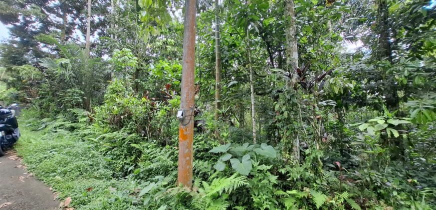 Tanah kebun di kaki gunung watukau tabanan luasan kecil suasana sejuk