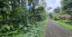 Tanah kebun di kaki gunung watukau tabanan luasan kecil suasana sejuk