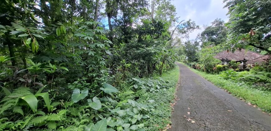 Tanah kebun di kaki gunung watukau tabanan luasan kecil suasana sejuk