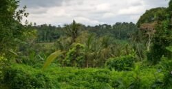 Tanah kebun view sawah dan gunung akses jalan hotmix