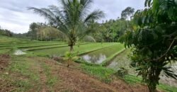 Tanah kebun view sawah dan gunung akses jalan hotmix