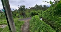 Tanah kebun view sawah dan gunung akses jalan hotmix