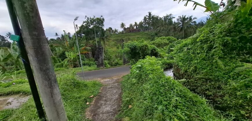 Tanah kebun view sawah dan gunung akses jalan hotmix