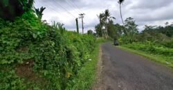 Tanah kebun view sawah dan gunung akses jalan hotmix