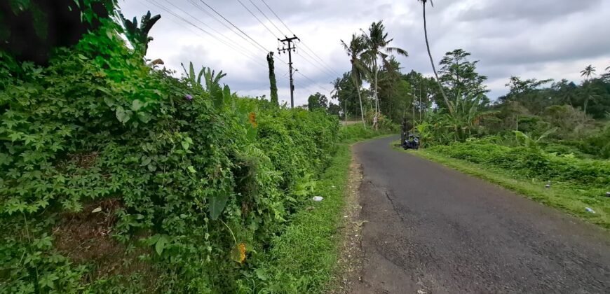 Tanah kebun view sawah dan gunung akses jalan hotmix