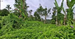 Tanah kebun view sawah dan gunung akses jalan hotmix