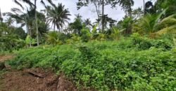 Tanah kebun view sawah dan gunung akses jalan hotmix
