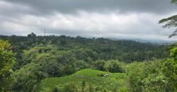 Tanah kebun view gunung, sawah dan lembah pegunungan