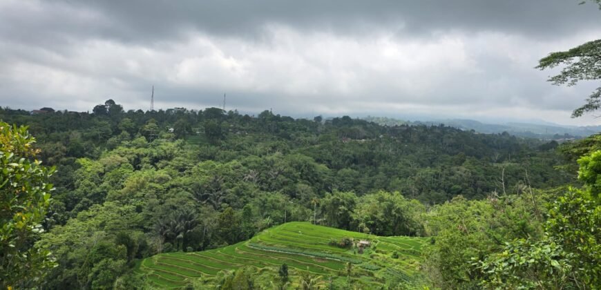 Tanah kebun view gunung, sawah dan lembah pegunungan