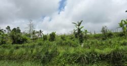 Tanah kebun view gunung, sawah dan lembah pegunungan
