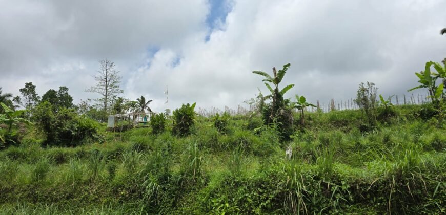 Tanah kebun view gunung, sawah dan lembah pegunungan