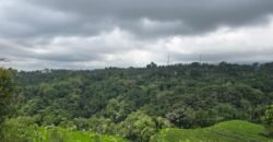 Tanah kebun view gunung, sawah dan lembah pegunungan