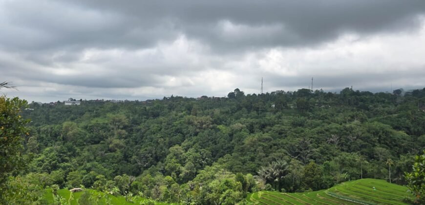 Tanah kebun view gunung, sawah dan lembah pegunungan