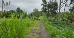 Tanah kebun view gunung, sawah dan lembah pegunungan