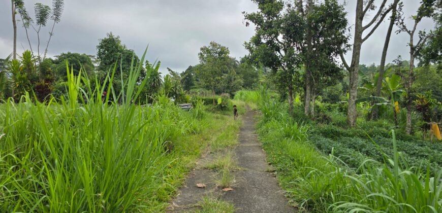 Tanah kebun view gunung, sawah dan lembah pegunungan