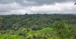 Tanah kebun view gunung, sawah dan lembah pegunungan