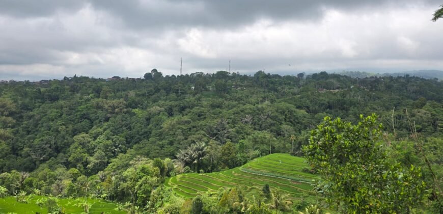 Tanah kebun view gunung, sawah dan lembah pegunungan