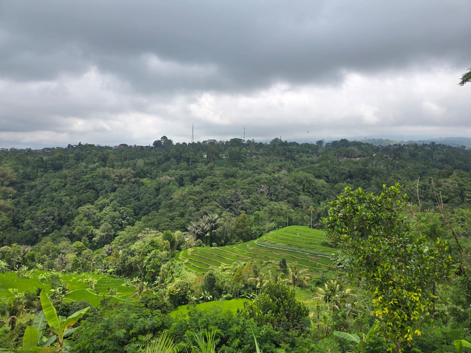 Tanah kebun view gunung, sawah dan lembah pegunungan