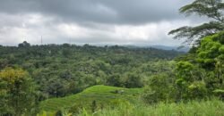 Tanah kebun view gunung, sawah dan lembah pegunungan