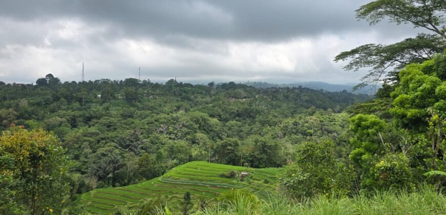 Tanah kebun view gunung, sawah dan lembah pegunungan