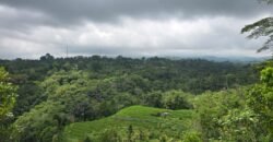 Tanah kebun view gunung, sawah dan lembah pegunungan