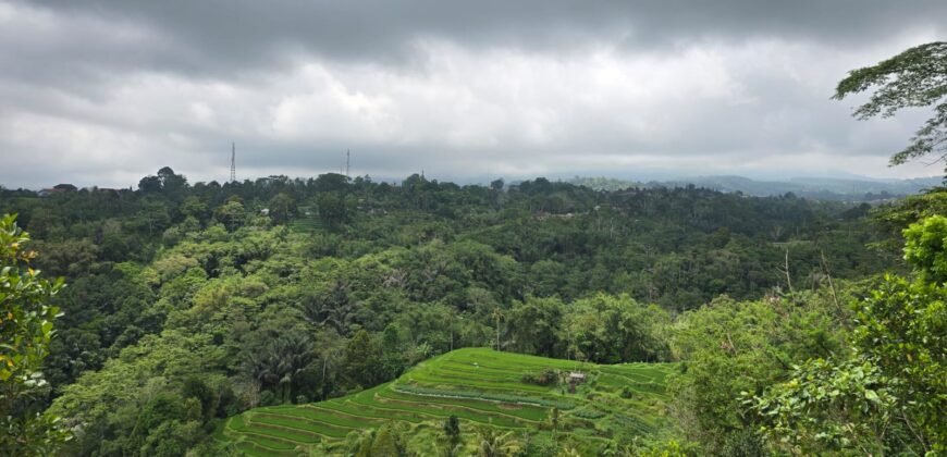 Tanah kebun view gunung, sawah dan lembah pegunungan