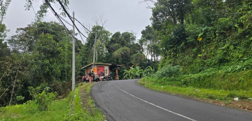 Tanah kebun full view panorama gunung dan sawah akses jalan hotmix