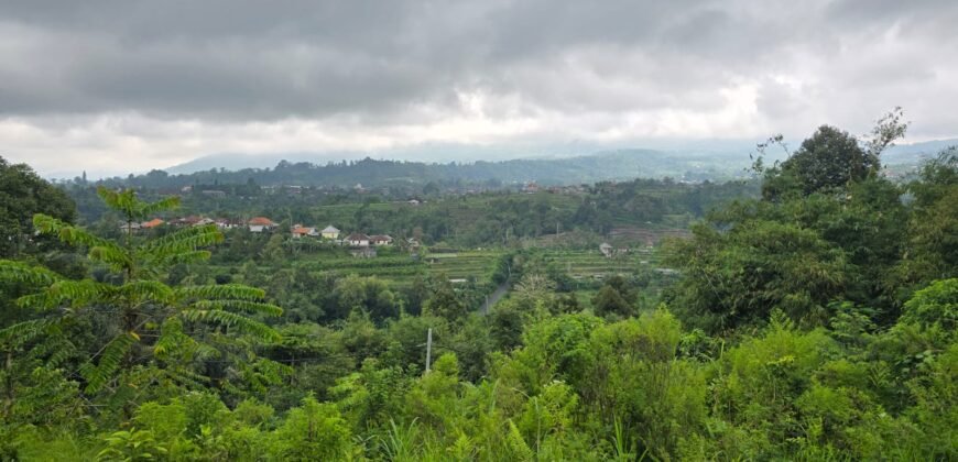 Tanah kebun full view panorama gunung dan sawah akses jalan hotmix