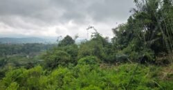 Tanah kebun full view panorama gunung dan sawah akses jalan hotmix