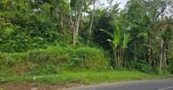 Tanah kebun full view panorama gunung dan sawah akses jalan hotmix