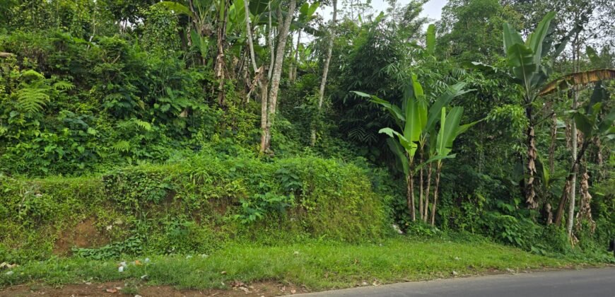 Tanah kebun full view panorama gunung dan sawah akses jalan hotmix