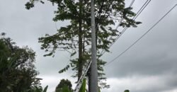 Tanah kebun full view panorama gunung dan sawah akses jalan hotmix