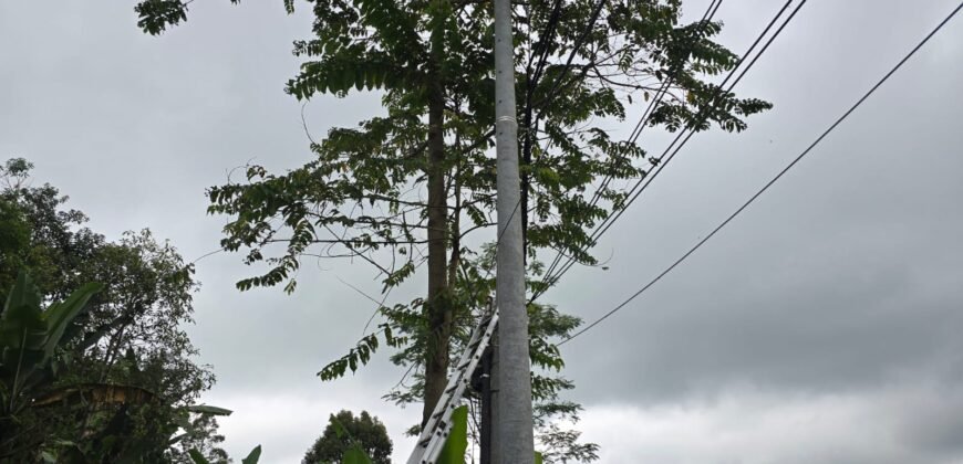 Tanah kebun full view panorama gunung dan sawah akses jalan hotmix