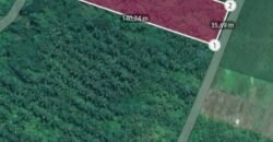 Tanah kebun los sungai 2 km dari jalan denpasar gilimanuk