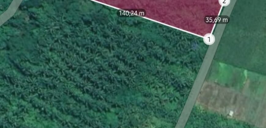 Tanah kebun los sungai 2 km dari jalan denpasar gilimanuk