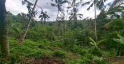 Tanah kebun los sungai kontur datar melandai