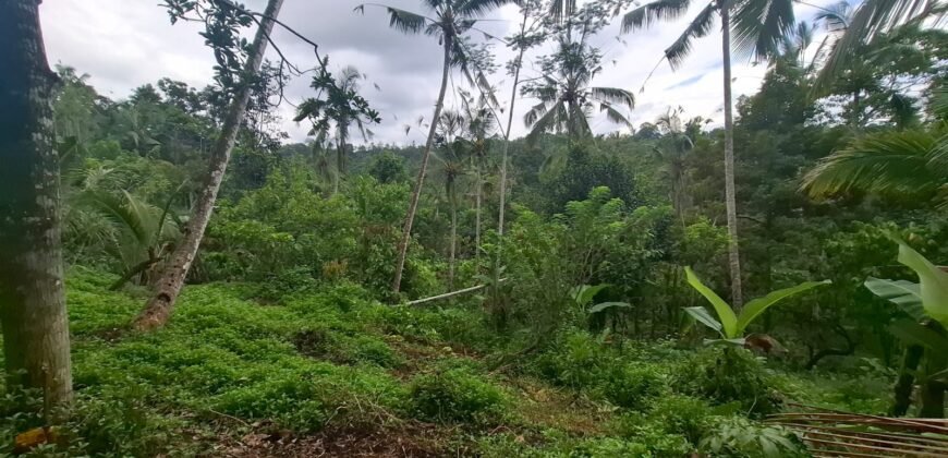 Tanah kebun los sungai kontur datar melandai